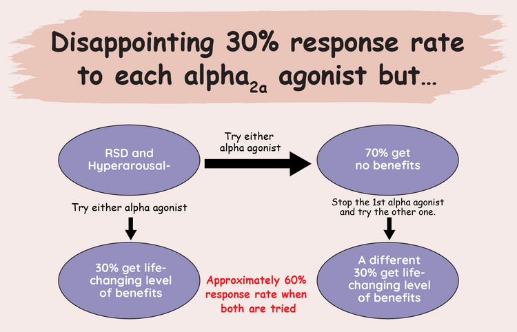 ADHD & RSD Webinar with Award-Winning Psychiatrist Dr William Dodson